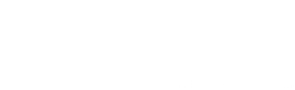 logo adtion bn